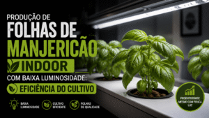 Produção de Folhas de Manjericão Indoor com Baixa Luminosidade