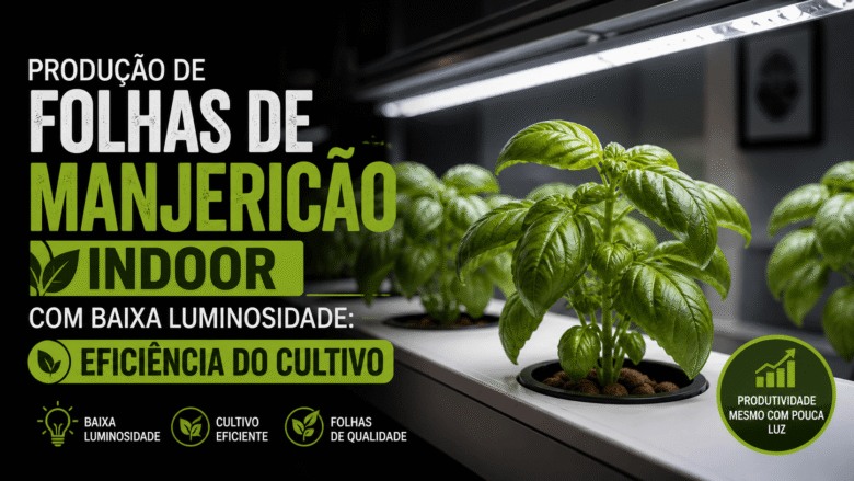Produção de Folhas de Manjericão Indoor com Baixa Luminosidade